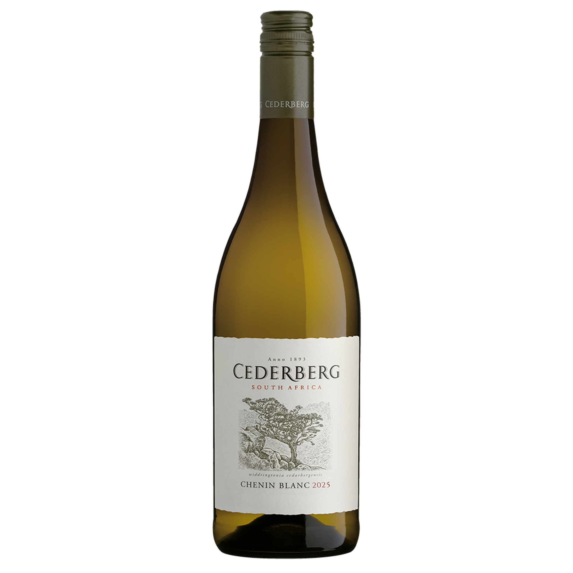 Cederberg Chenin Blanc – The Daily Wine