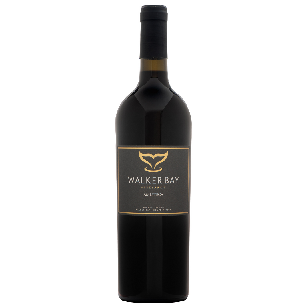 Walker Bay Amesteca 2022