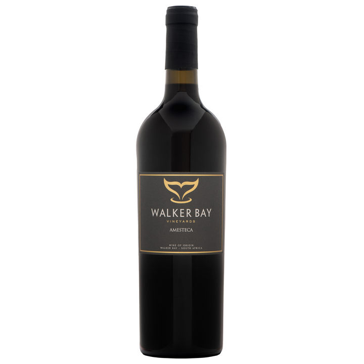 Walker Bay Amesteca 2022