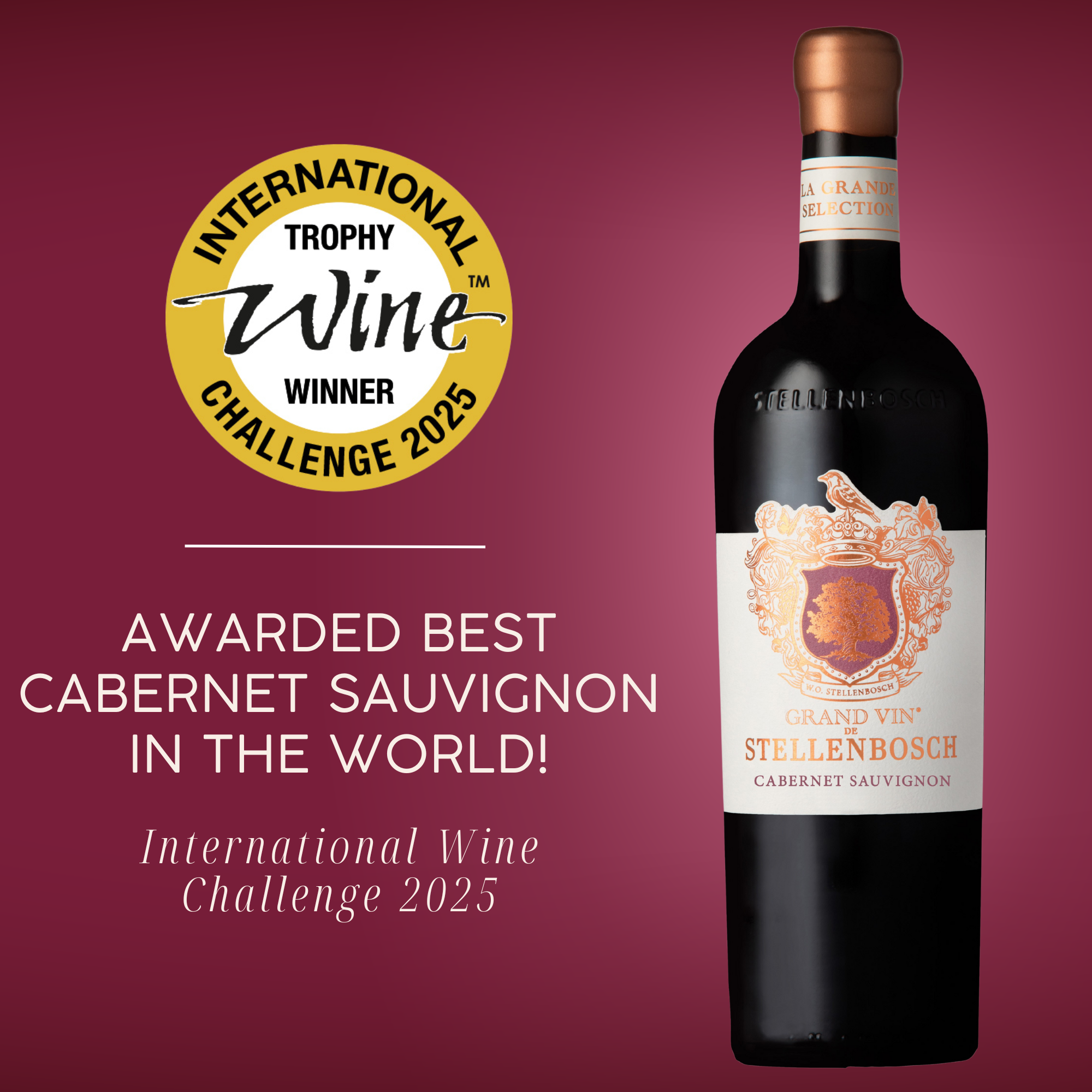 Grand Vin De Stellenbosch Cabernet Sauvignon 2022 – The Daily Wine