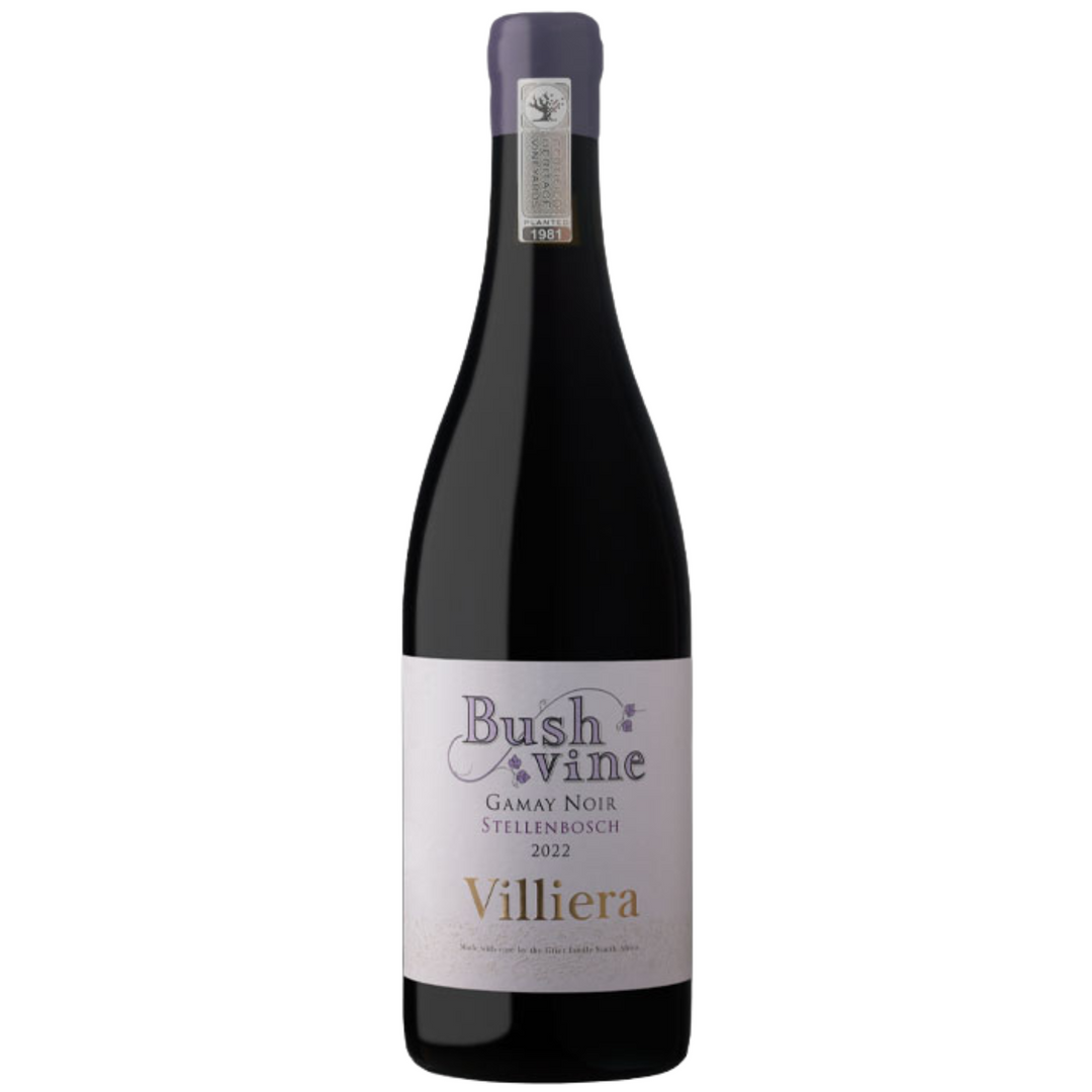 Villiera Bush Vine Gamay Noir